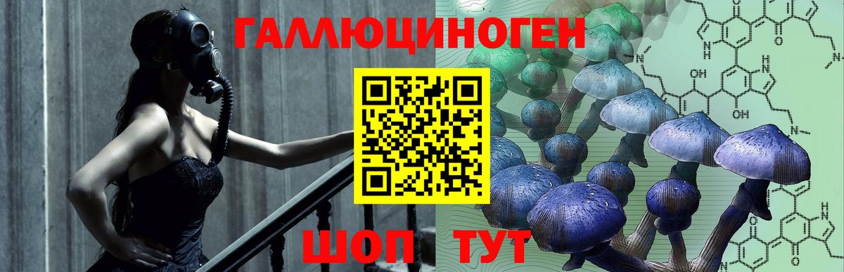 Галлюциногенные грибы Cubensis  Галлюциногенные грибы GOLDEN TEACHER  Ярцево  Вход с VPN 